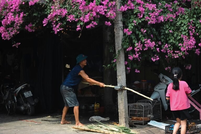 market activity evaluation report